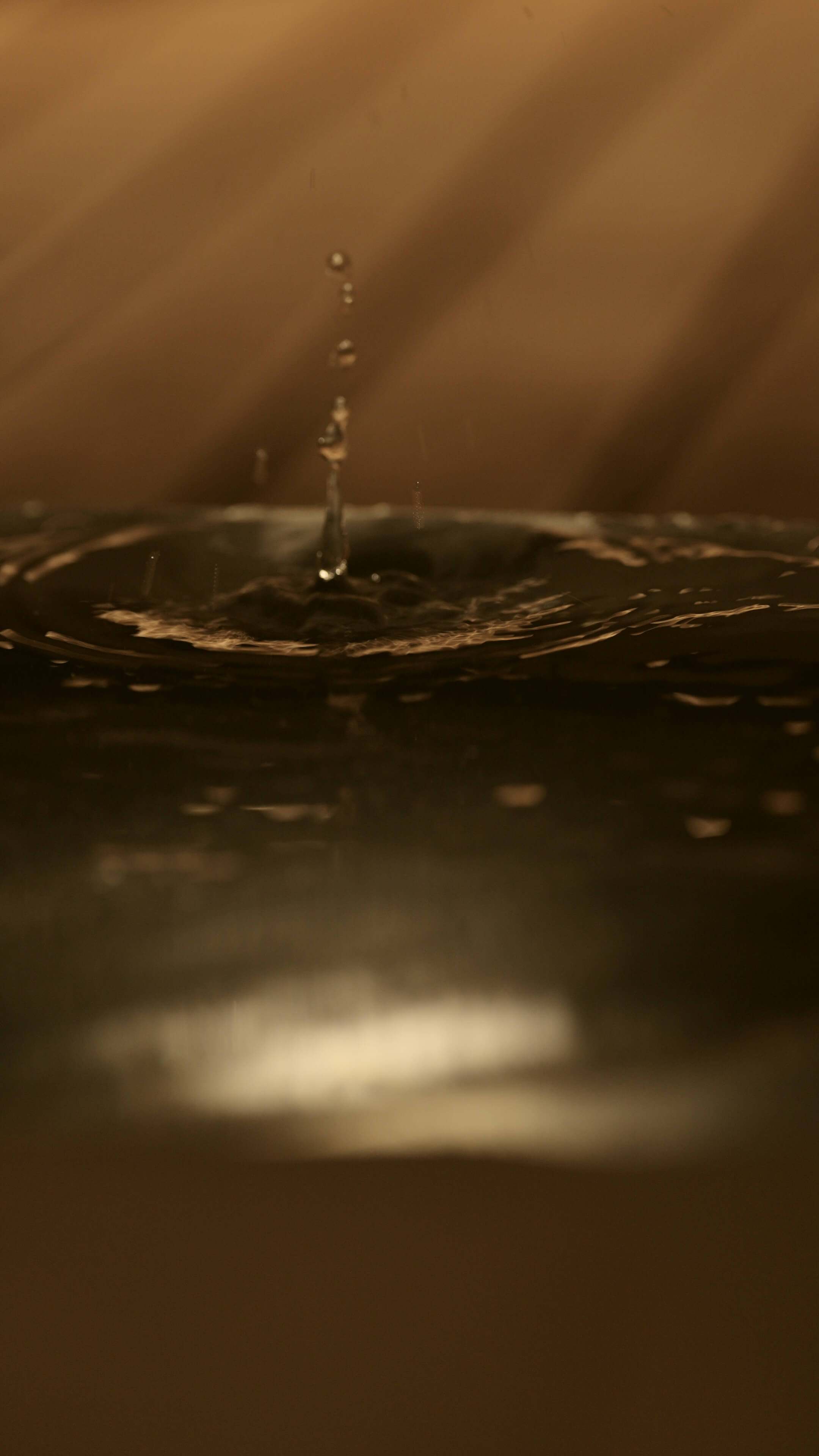 SAUNAS TAKANAWA HAMON